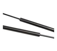 Pistone Anteri Para Lexus RX AL10 2008-2015 RX350 RX450h Supporto Cofano