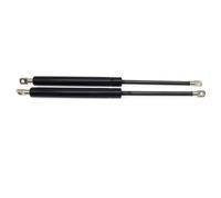 Pistone Motore 2 Uds 300N 300 350 400 450 500mm 600mm Barras Puntal Gas Soporte Resorte Capó Coche Puertas Caravanas Escotillas Barco Autobús Molla Cofano(300mm)