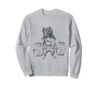 Pit bull Lift Sudadera
