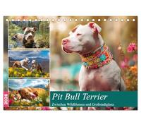 Pit Bull Terrier. Zwischen Wildblumen und Großstadtglanz (Tischkalender 2026 DIN A5 quer), CALVENDO Monatskalender: Farbenfrohen Bilder von tollen Hunden voller Fröhlichkeit und Schönheit