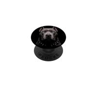 Pitbull Face Animal Cachorro Vida Silvestre Naturaleza PopSockets PopGrip Adhesivo