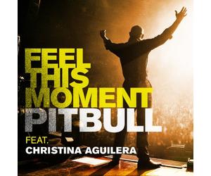Pitbull Feat. Christina Aguilera - Feel This Moment