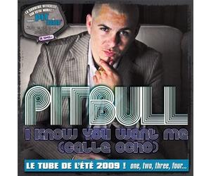 Pitbull - I Know You Want Me (Calle Ocho)