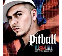 Pitbull - Money Is a Major Issue