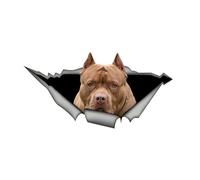 Pitbull - Pegatina reflectante de PVC para coche, diseño de Staffordshire Terrier American Staffordshire Terrier (25 cm/9,84 pulgadas)