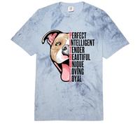 Pitbull Proud Pitbull Owners Top Men Women Kids Comfort Colors Adult Heavyweight T-Shirt