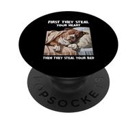 Pitbull Roba Tu Corazón Luego Tu Cama Perro Dormido Pit Bull PopSockets PopGrip Adhesivo