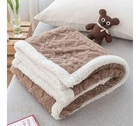 PITRAK Manta de Lana de Doble Capa Manta de Lana de Cordero, Grande, súper Suave, esponjosa, cálida, Gruesa, acogedora, para Cama, sofá, Viaje, Camping (Marrón, 100x150cm)