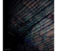 Pitre, Duane - Feel Free: Life at.. -Hq- [Vinilo]