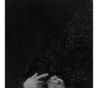 Pitre - Seeker and the Healer [Vinilo]