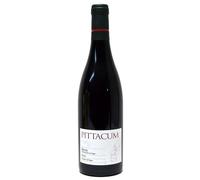 Pittacum 2019 - Pack 6 Botellas - Bodegas Terras Gauda