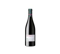 Pittacum Magnum 2020