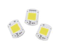 PIUHRKLEVD 10pcs Plant Grow Light LED 220V 30W Cold White 6500K Driverless COB LED Chips Light For Garden