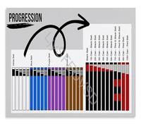 PIUHRKLEVD BJJ Brazilian Jiu-Jitsu Belt Rank System Color Guide Educational Reference Poster Grappling Training Wall-Art Home Decor Gift(Framed,16x24inch(40x60cm))