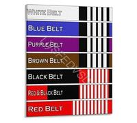 PIUHRKLEVD Brazilian Jiu Jitsu Belt Rank Guide Poster BJJ Progression Chart Educational Wall-Art Print for Grappling Gym Martial Arts Decor(Unframed,12x18inch(30x45cm))