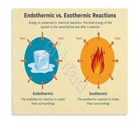 PIUHRKLEVD Chemical Reactions Change Diagram Endothermic Exothermic Metal Tin Sign for Science Class Home School Study Room Wall-Art 8 X 12 in