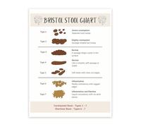 PIUHRKLEVD Digestive Health Reference Metal Sign Bristol Stool Chart and Bowel Movement Guide for Office Clinic Wall Decor 8 X 12 in