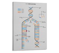 PIUHRKLEVD DNA Replication Diagram Biology Chart Canvas Wall-Art for Student Gift Doctor Office Science Teacher Decor(Unframed,08x12inch(20x30cm))