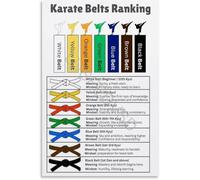 PIUHRKLEVD Karate Belt Order System and Color Meaning Reference Educational Canvas Poster Wall-Art Decor for Dojo Training Room Home Gym(Framed,16x24inch(40x60cm))
