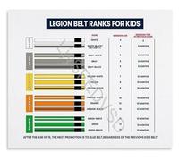 PIUHRKLEVD Martial Arts BJJ Belt Order Progression Infographic Poster Brazilian Jiu-Jitsu Educational Wall-Art for Training Center Gift(Framed,08x12inch(20x30cm))