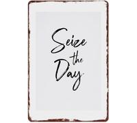 PIUHRKLEVD Seize The Day Vintage Motto Aluminum Plaque 8 X 12 in