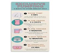 PIUHRKLEVD The Practical Parents Gift Lactation and Breast Milk Storage Guide Educational Chart Poster for Pumping Moms(Framed,16x24inch(40x60cm))