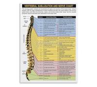 PIUHRKLEVD Vertebrae and Nerve Pathways Anatomy Chart Biology Education Poster Informative Wall-Art for Study Room Office 8 X 12 in