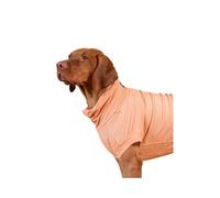 Piumer -Camiseta Tecnica para Perro - Anti Insectos y Anti radiacion - Talla 45