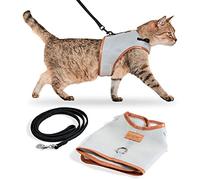 PiuPet Arnés Antiescape para Gatos Talla M - Pechera de Malla y Correa 1.2m | Chaleco acolchado ajustable con cierres de clic, diseño transpirable gris para gatos pequeños y perros de raza mini