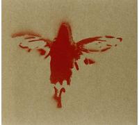 Pivio & De Scalzi - The Butterfly Room