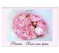 Pivoines - Roses sans épines (Calendrier mural 2026 DIN A4 vertical), CALVENDO calendrier mensuel: Les roses du printemps magnifiquement présentées