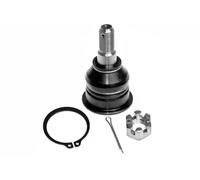 Pivote del brazo de control 825 0001 10 FAG para NISSAN MAXIMA / MAXIMA QX IV