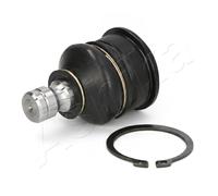 Pivote del brazo de control Eje delantero 73-01-106 ASHIKA para NISSAN NOTE