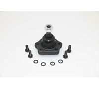 Pivote del brazo de control Eje delantero 73-01-111 ASHIKA para NISSAN TERRANO I