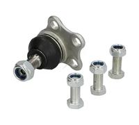 Pivote del brazo de control Eje delantero 73-01-121 ASHIKA para RENAULT NISSAN