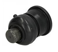 Pivote del brazo de control Eje delantero abajo BJ-104 JAPANPARTS para RENAULT