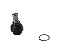 Pivote del brazo de control Eje delantero abajo S080856 GSP para NISSAN
