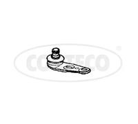 CORTECO Articulación De Suspensión Delantera Derecha Compatible Para Audi 80