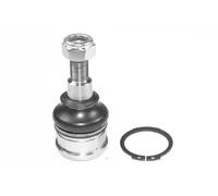 Pivote del brazo de control Eje delantero, derecha 49400023 CORTECO para HONDA
