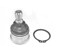 Pivote del brazo de control Eje delantero, derecha 49400543 CORTECO para HYUNDAI