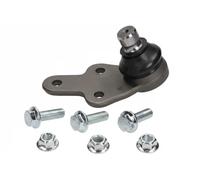 Pivote del brazo de control Eje delantero, derecha G3-1045 OPTIMAL para FORD