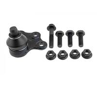 Pivote del brazo de control Eje delantero, derecha ZSD-PL-006 NTY para OPEL