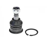 Pivote del brazo de control Eje delantero, izquierda G3-087 OPTIMAL para NISSAN