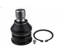 Pivote del brazo de control Eje delantero, izquierda ZSD-FR-009 NTY