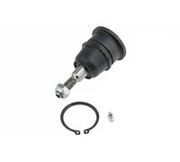 NTY Rótula Suspensión Delantero Superior para Chevrolet Express 3500 Standard