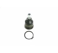 Pivote del brazo de control exterior 42182 SIDEM para NISSAN NP300 PICKUP