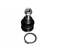 Pivote del brazo de control HO-BJ-4919 MOOG para HONDA JAZZ II