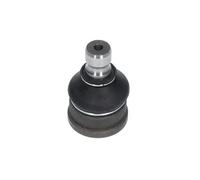 Kavo Parts SBJ de Articulación de 5530 fuerungs