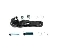 Pivote del brazo de control RTS93.00313 RTS