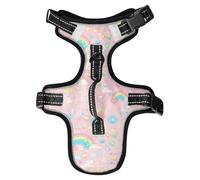 Pixal - Equipo reflectante para pasear al perro con diseño de melocotón arcoíris para perros salchicha que trabaja, lindos arneses con asa, chaleco para perro, talla M